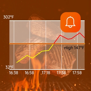 Temp graph